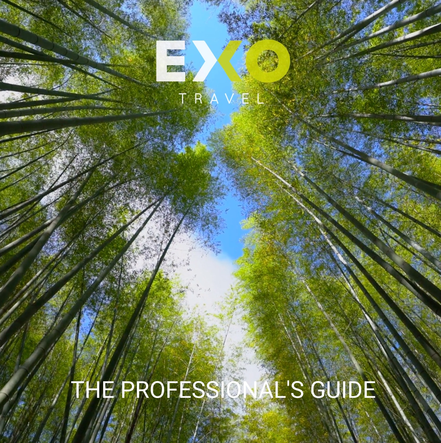 Image of Professional's Guide 2021
