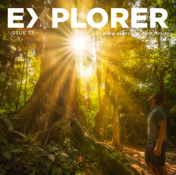 Image of Explorer 77