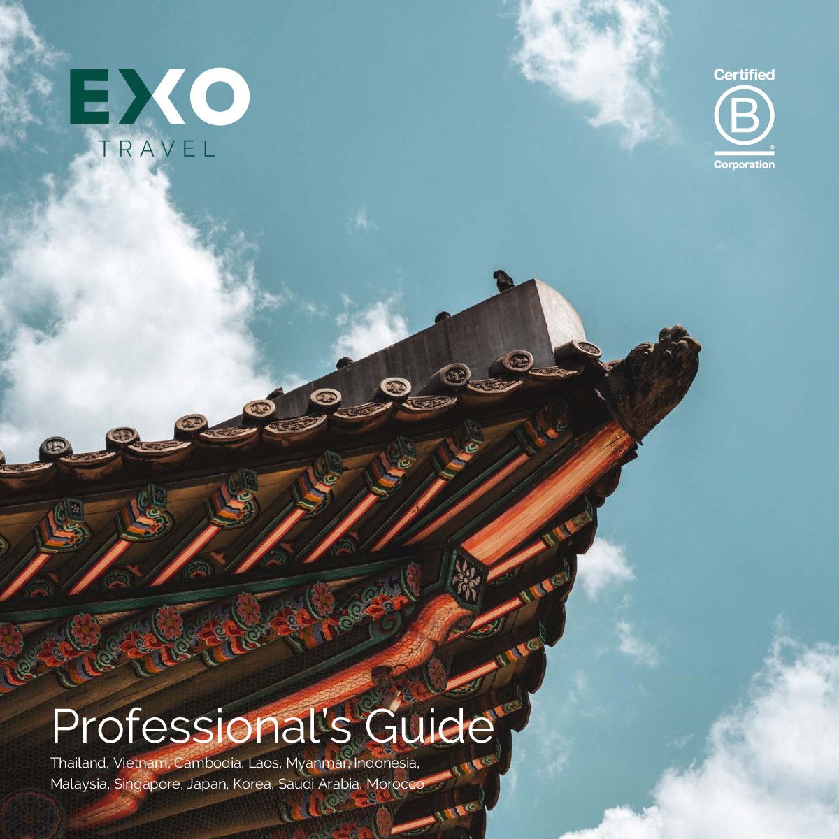 Image of Professional's Guide 2025