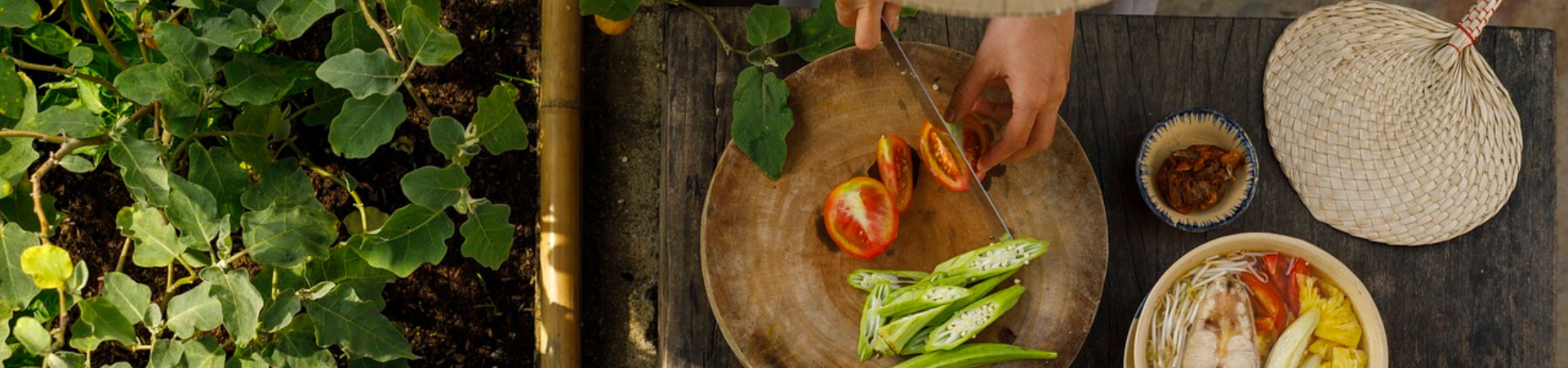 Image of A Malaccan Kampung Lifestyle & Cooking Experience