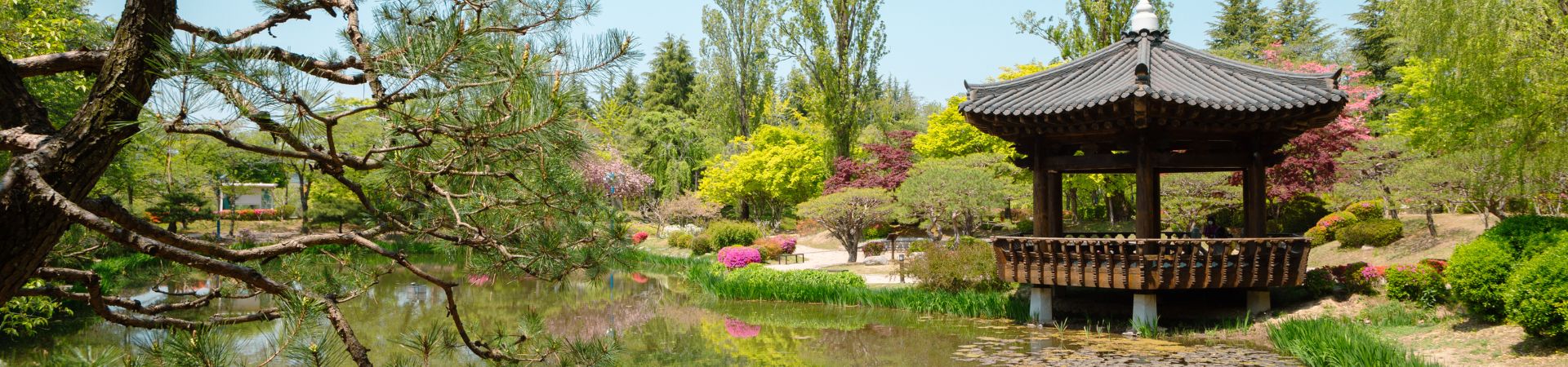 Image of Culture and Amusement for Kids in Gyeongju