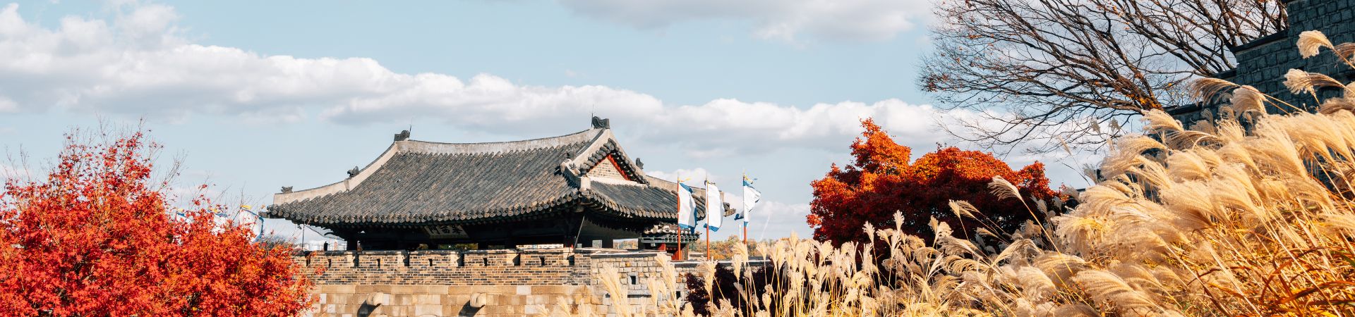 Image of Discover Suwon & Korean Folk Village