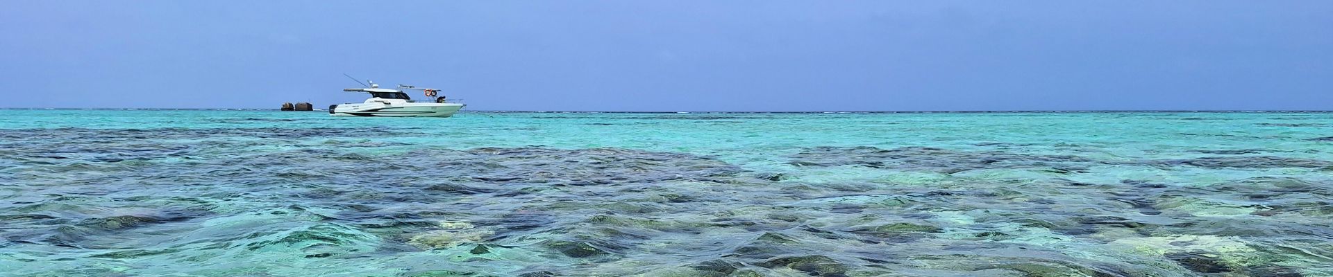 Image of Jeddah Snorkel Adventure