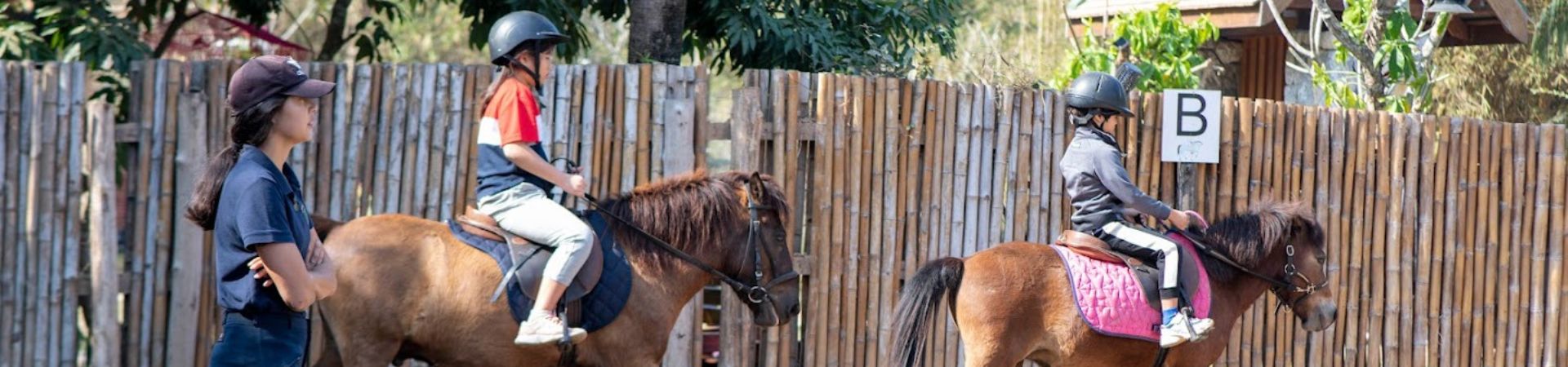 Image of Horseback Adventure for Young Riders
