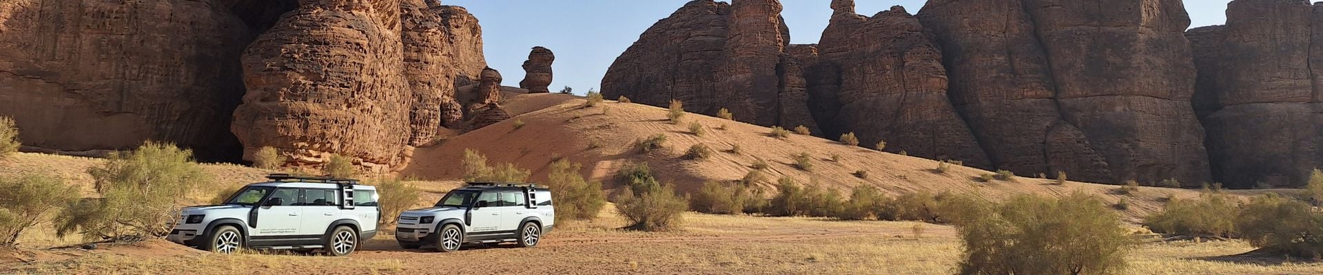 Image of Join-In Luxury Sharaan Safari