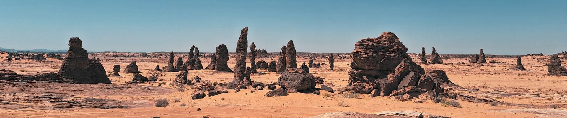 Image of Join-In Stargazing Experience