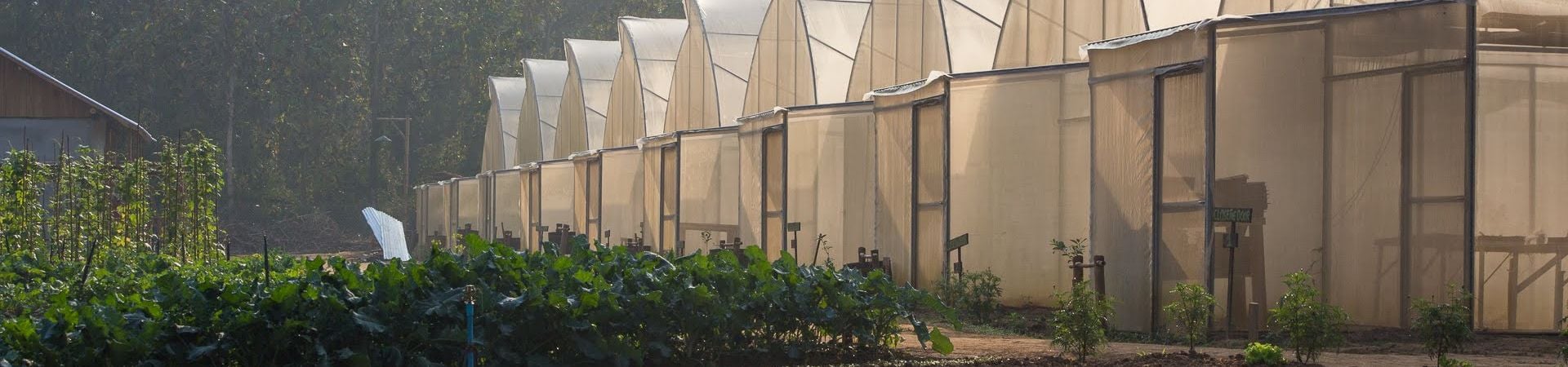 Image of A Visit To An Eco-farm