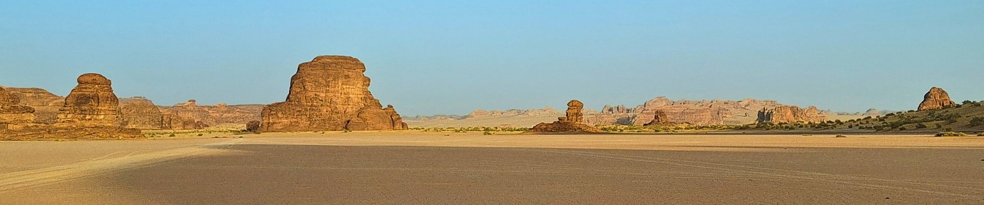 Image of Private Sharaan Safari