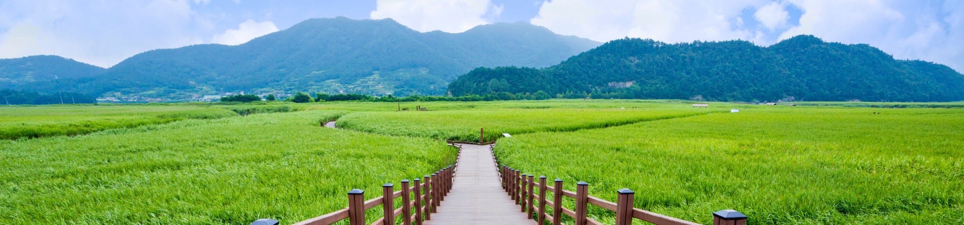 Image of Suncheon From Temple to Wetland Sunset