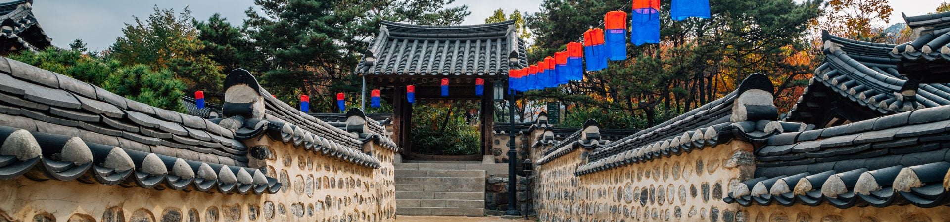 Image of Seoul Discovery