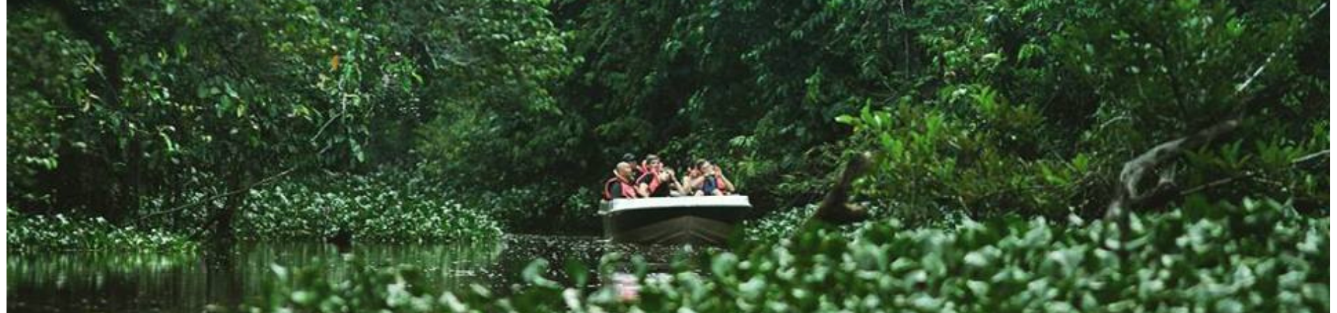 Image of Kinabatangan Wildlife - Join in Tour