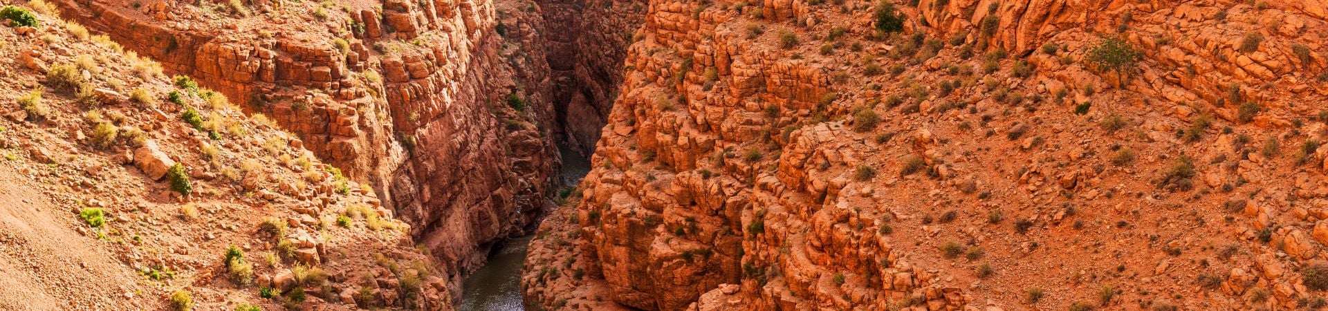 Image of Overland- Explore the Dades Gorge & Hidden Palm Groves