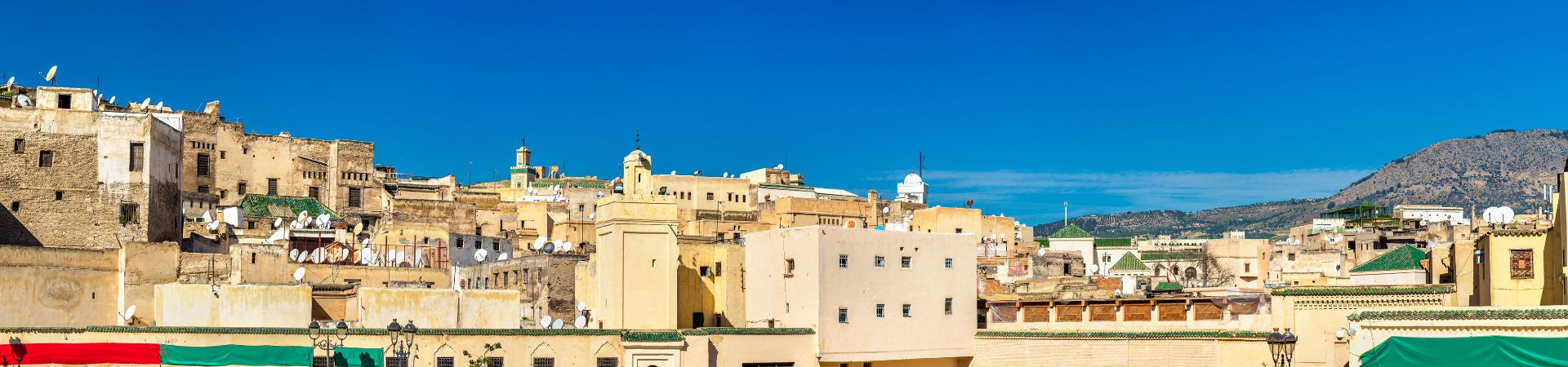 Image of Overland - Fes Medina & Animal Welfare