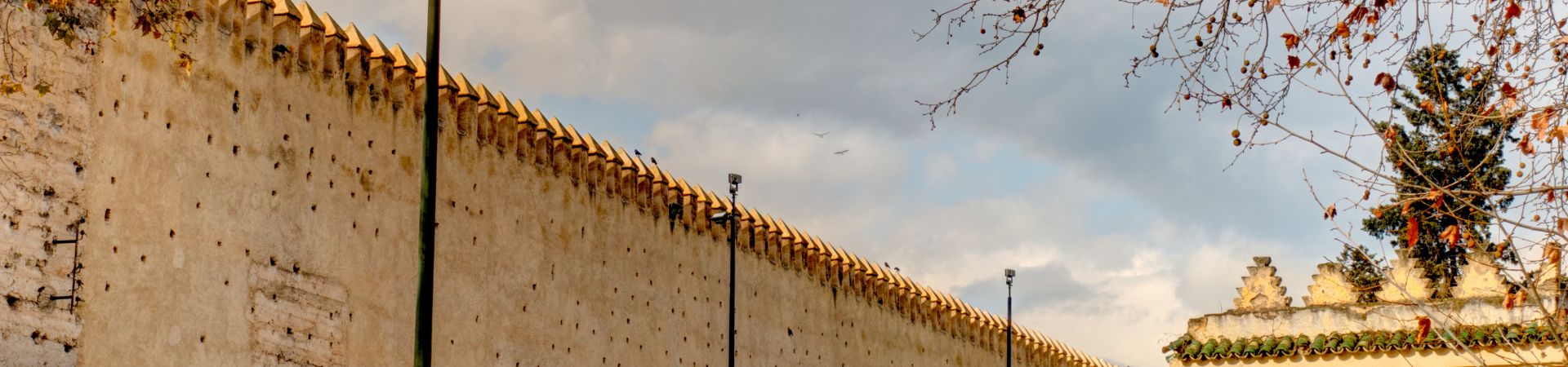 Image of Overland - Fes Mellah & Jewish Heritage