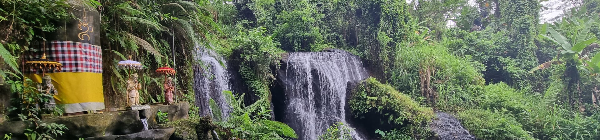 Image of Bali Wellness Day
