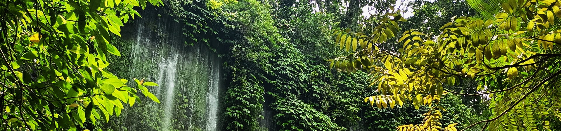 Image of Enchanting Waterfalls & Village Life Experience