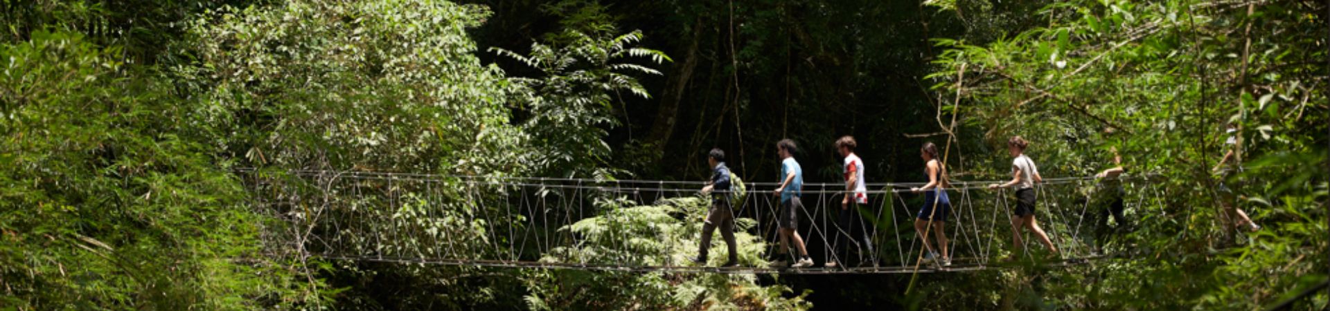Image of Nam Kat Yorla Paa Giant Tree Hike