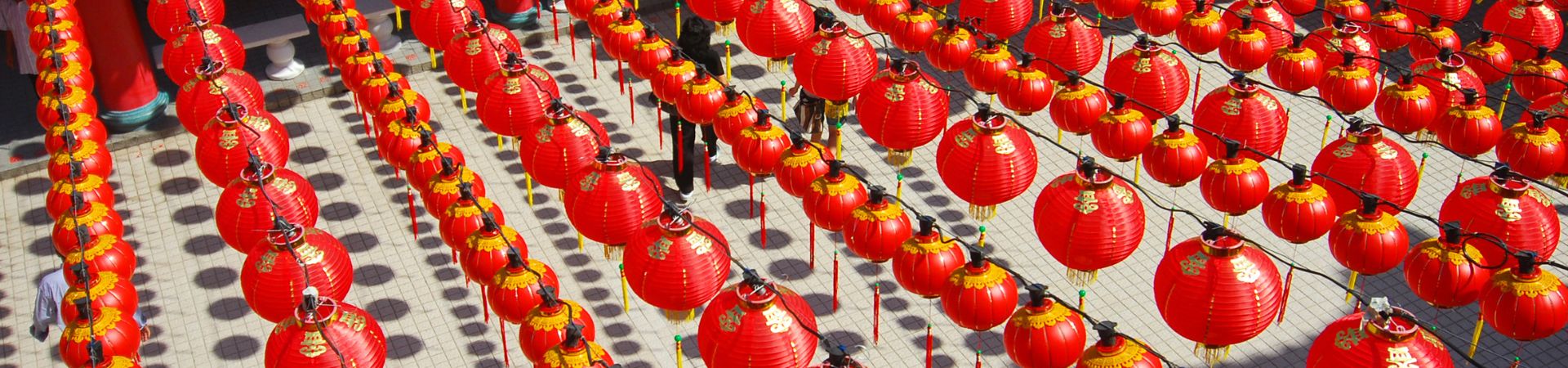 Image of The Vegetarian Melting Pot of KL