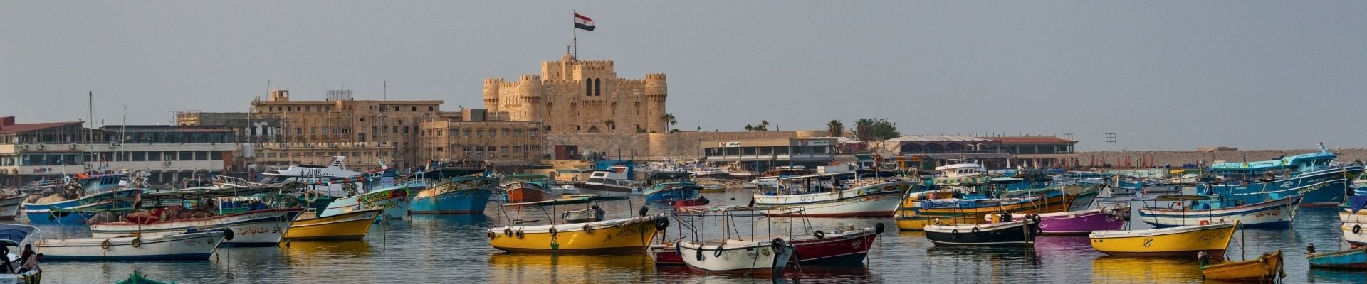 Image of Classic Alexandria