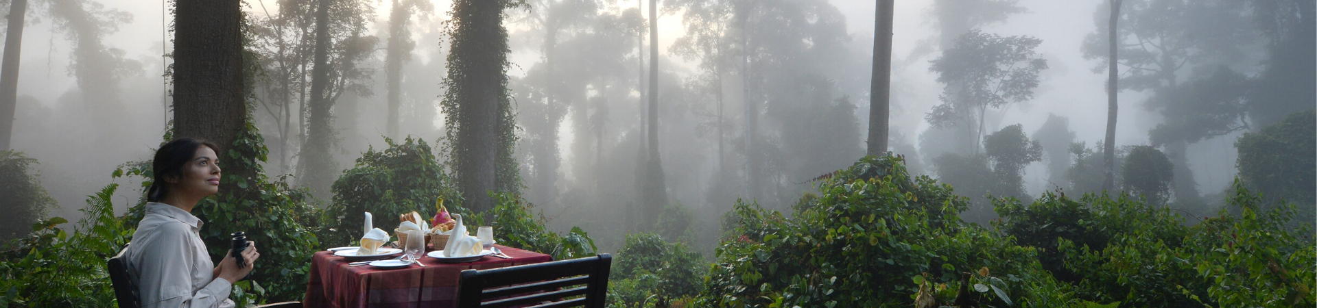 Image of Private Breakfast with Nature