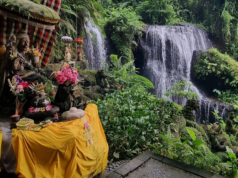 Balinese Water Blessing and Purification
