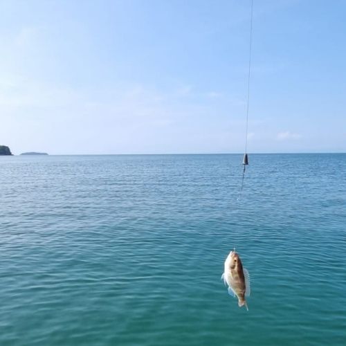 Be a Fisherman for a day