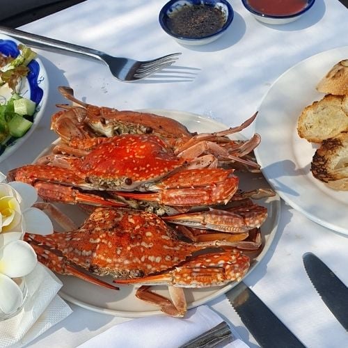 Be a Fisherman for a day