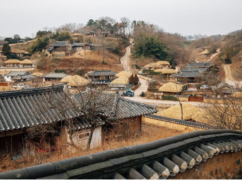 Gyeongju & Yangdong Explorer