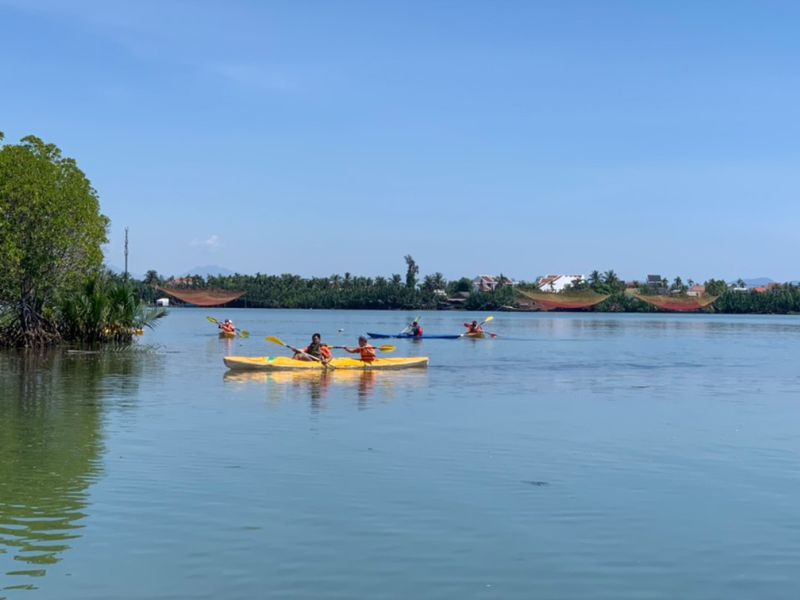Hoi An Paddle The Mangrove Forests