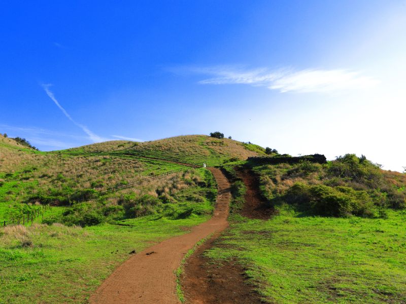 Jeju Volcano Adventure