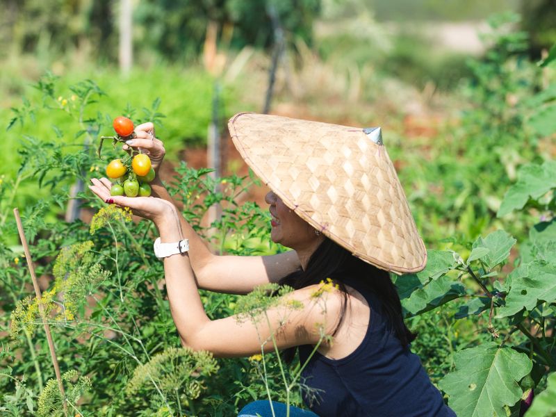 A Visit To An Eco-farm