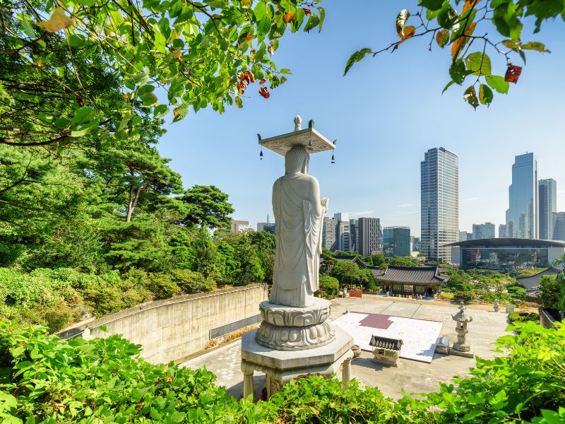 Korean Cooking Class & Iconic Sights