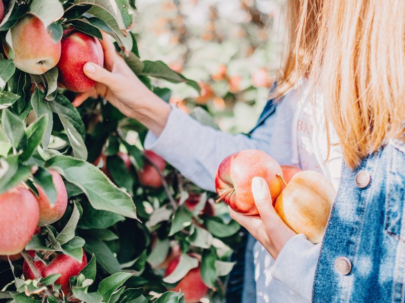 A Day of Art, Scents & Flavors in Pocheon - Seoul (Join-in)