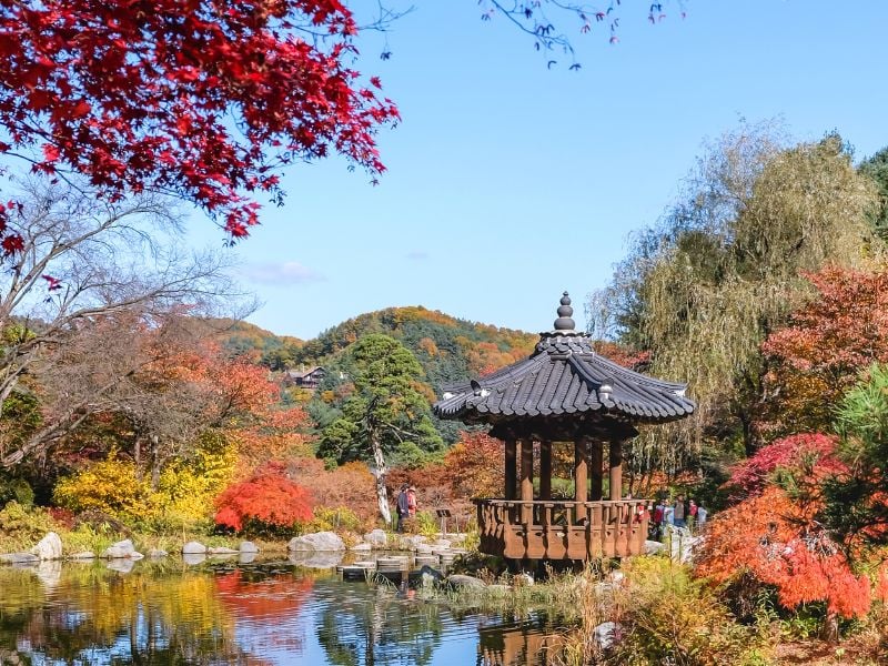 A Day of Art, Scents & Flavors in Pocheon - Seoul (Join-in)