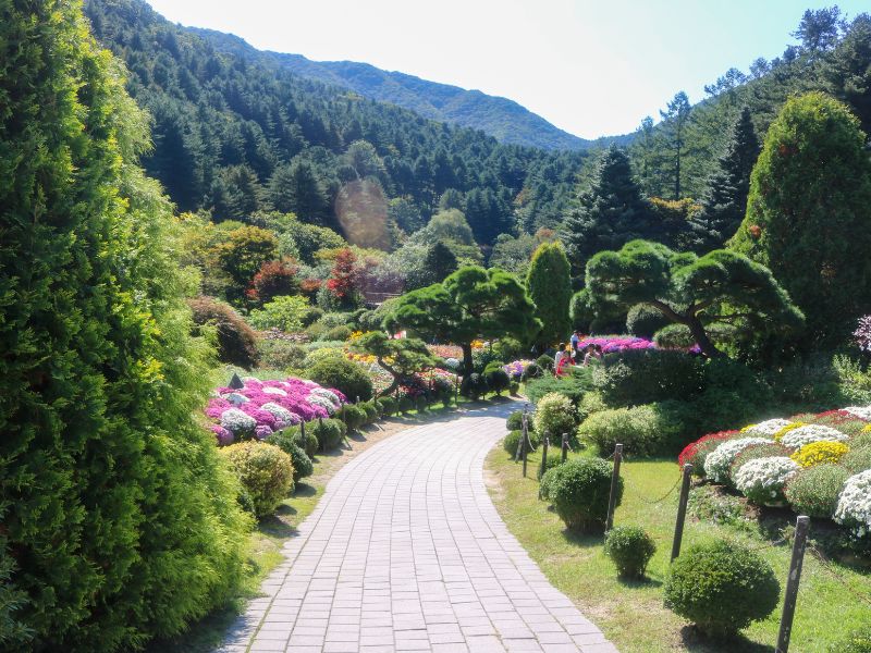 A Day of Art, Scents & Flavors in Pocheon - Seoul (Join-in)