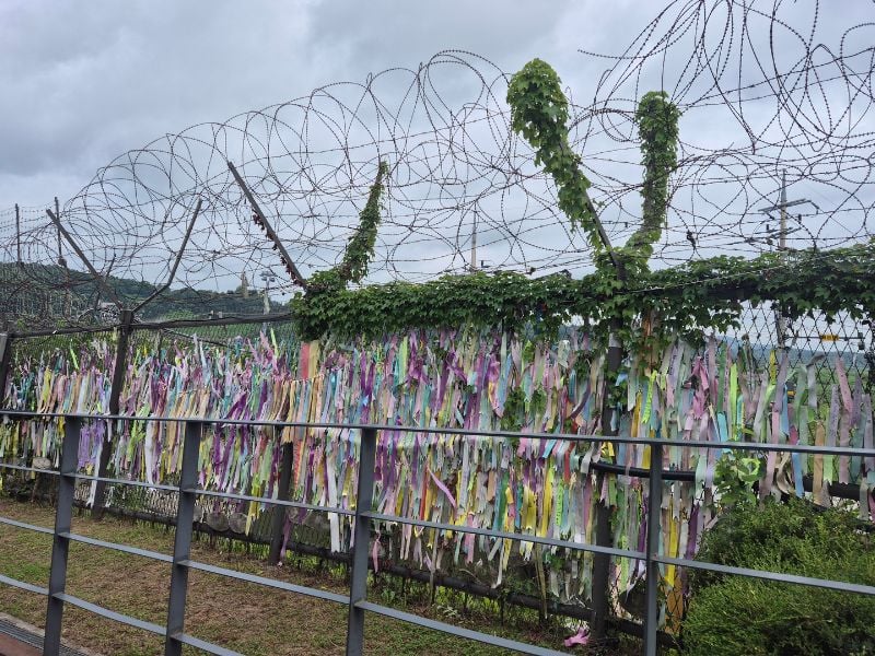 Semi-Private DMZ Tour with Exclusive Defector