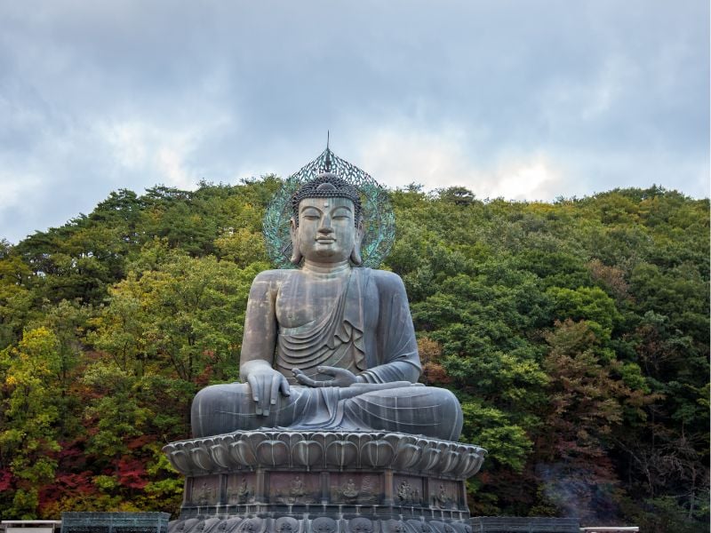 Sokcho Nature and Culture Exploration