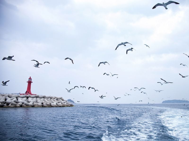 Sokcho Nature and Culture Exploration