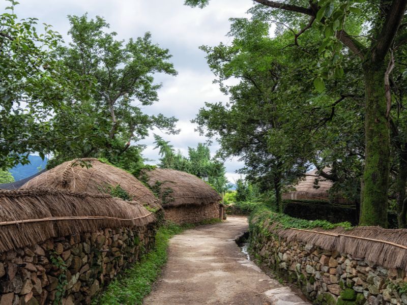 Suncheon Cultural and Nature Highlights