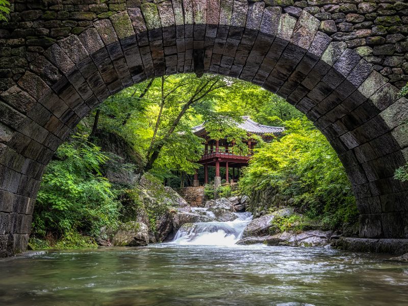 Suncheon Cultural and Nature Highlights