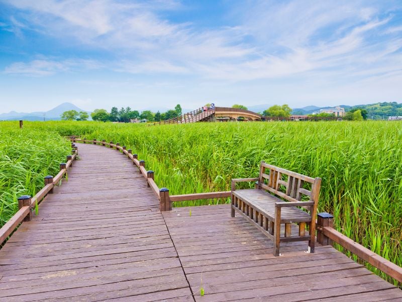 Suncheon Cultural and Nature Highlights