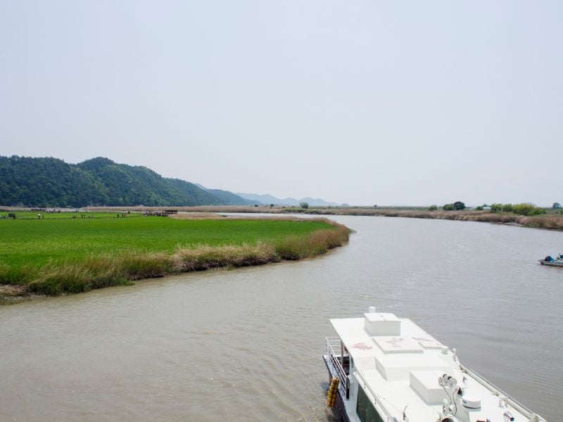 Suncheon From Temple to Wetland Sunset