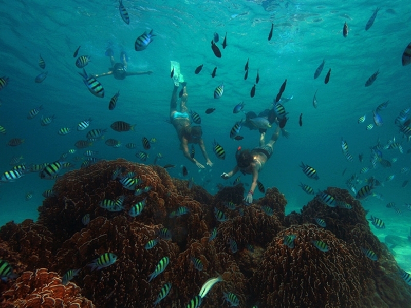 Unseen Snorkelling Koh Hong Krabi