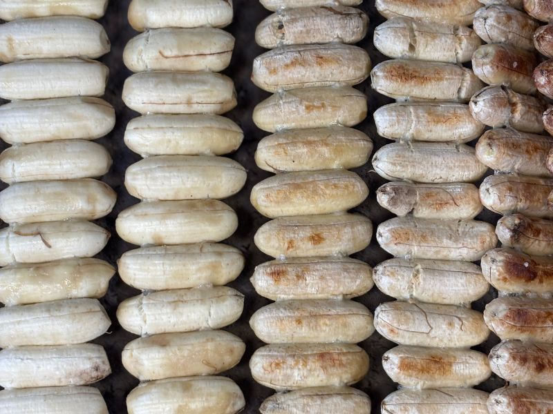 Thai Lesson and Practice for a Day