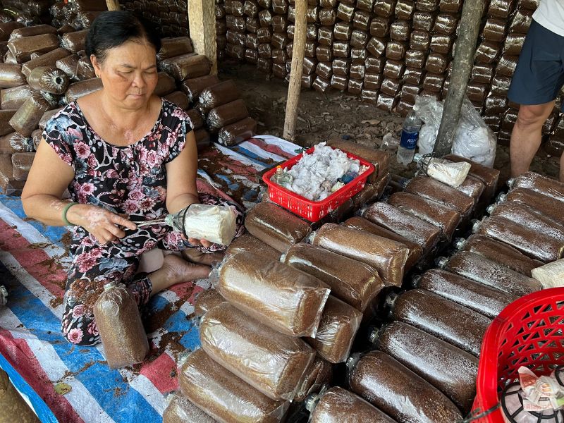 Essence of The Mekong