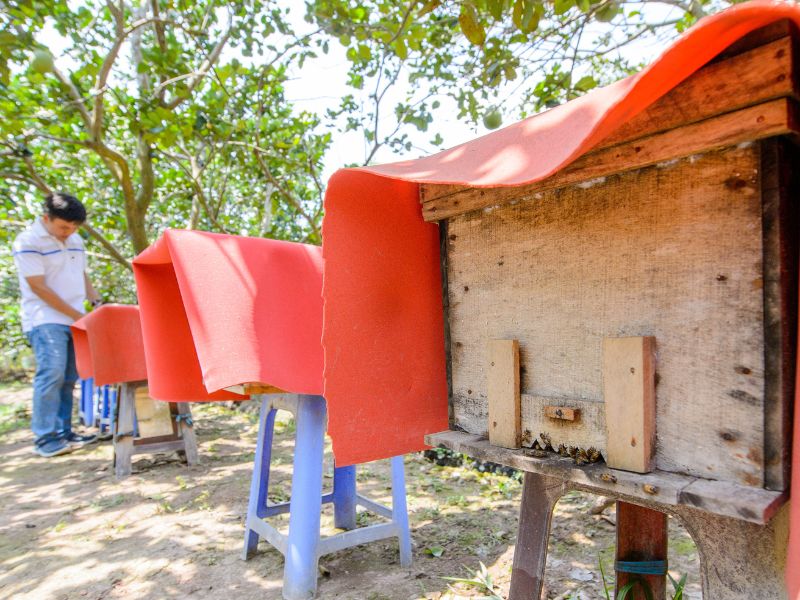 Essence of The Mekong