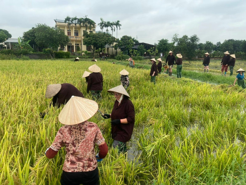 Van Long Farming & Wetland Experience - Ninh Binh