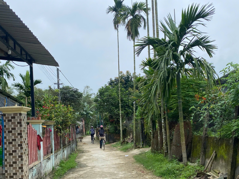 Tranquil Hoi An: Community & Nature