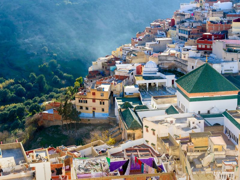 Chefchaouen to Fes: History & Flavors