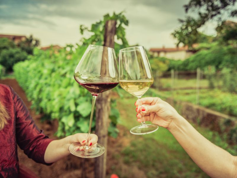 Chefchaouen to Fes: History & Flavors